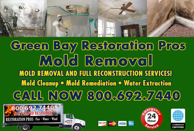Green Bay mold damage cleanup